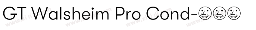 GT Walsheim Pro Cond字体转换